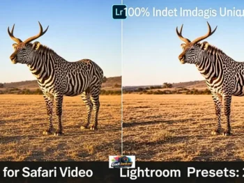 LUTs for Safari Video, os Lightroom